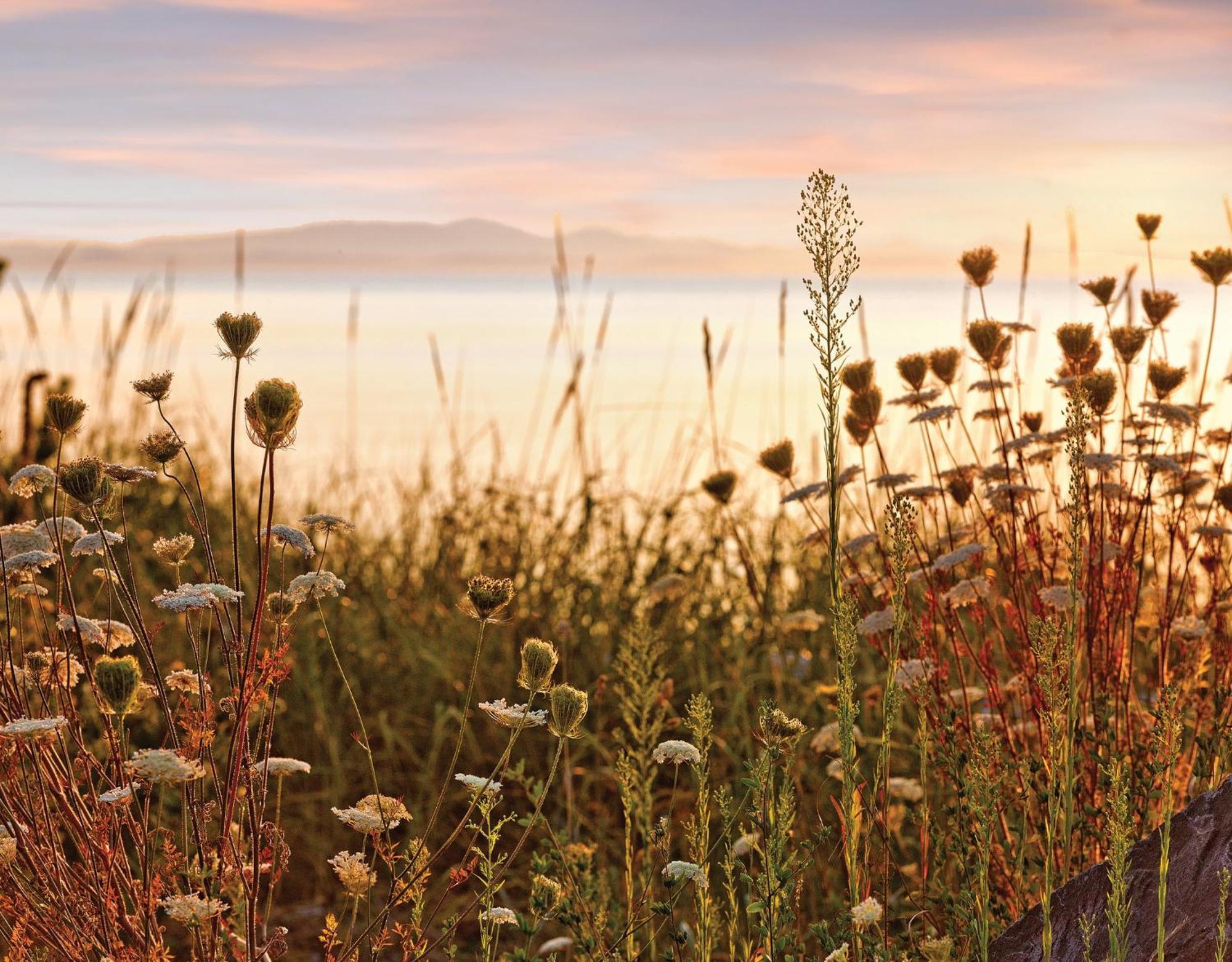 Worldmark Birch Bay Kültér fotó